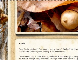 ApirePic
