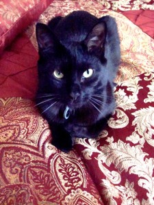 Archetypes of the Witch I: Transformer at the Edge