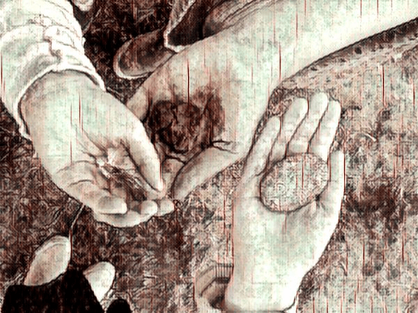 The Mind of a Rock: Musings on Orr’s ‘Wakeful World’